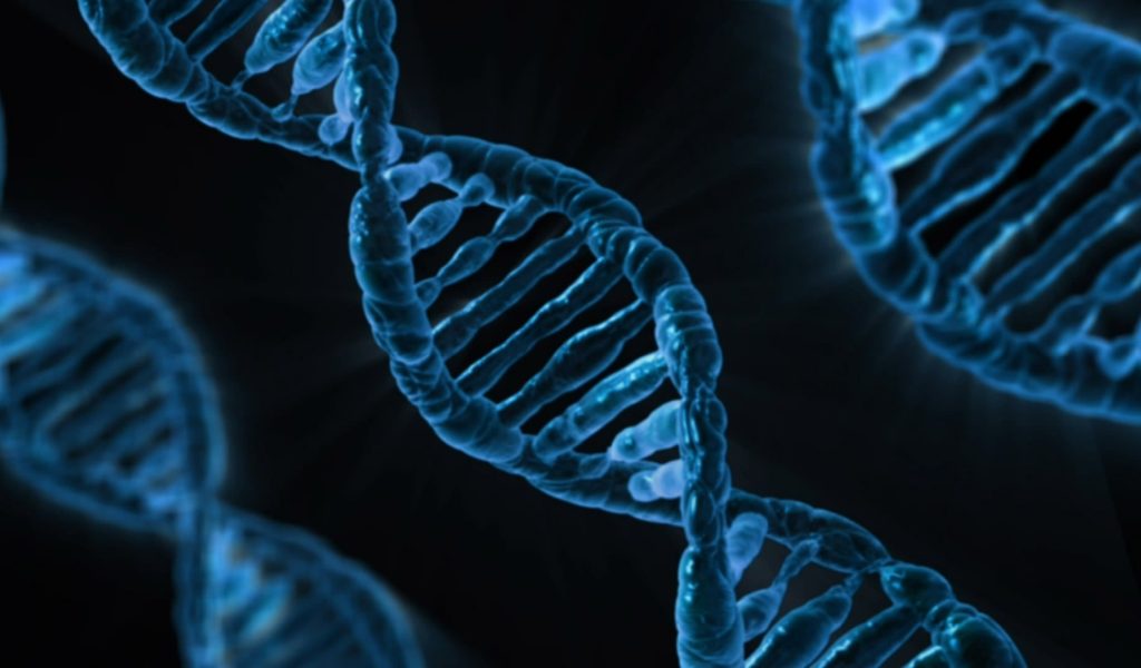 publicdomainpictures-dna-163466_1920